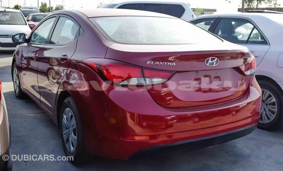 Buy Import Hyundai Elantra Red Car in Import - Dubai in Abseron Buy Import Hyundai Elantra Red Car in Import - Dubai in Abseron