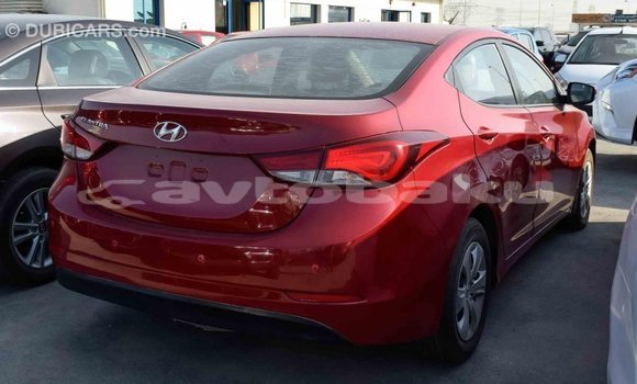 Buy Import Hyundai Elantra Red Car in Import - Dubai in Abseron Buy Import Hyundai Elantra Red Car in Import - Dubai in Abseron