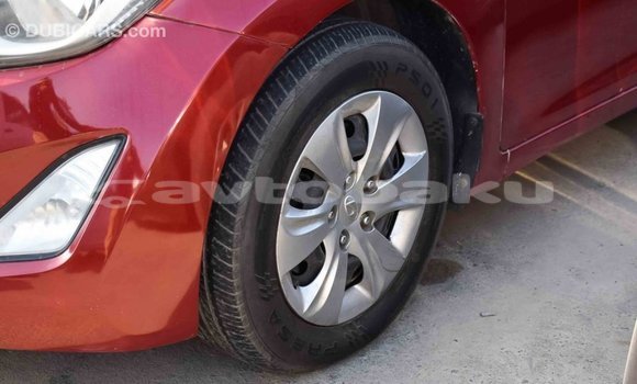 Buy Import Hyundai Elantra Red Car in Import - Dubai in Abseron Buy Import Hyundai Elantra Red Car in Import - Dubai in Abseron