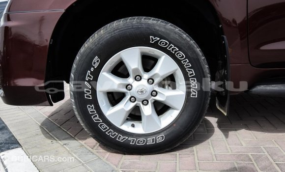Buy Import Toyota Prado Brown Car in Import - Dubai in Abseron Buy Import Toyota Prado Brown Car in Import - Dubai in Abseron