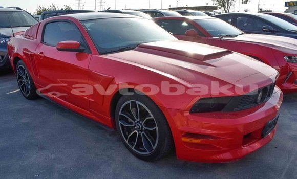 Buy Import Ford Mustang Red Car in Import - Dubai in Abseron Buy Import Ford Mustang Red Car in Import - Dubai in Abseron