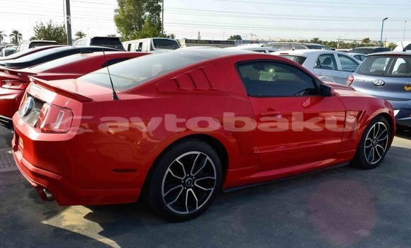 Buy Import Ford Mustang Red Car in Import - Dubai in Abseron Buy Import Ford Mustang Red Car in Import - Dubai in Abseron