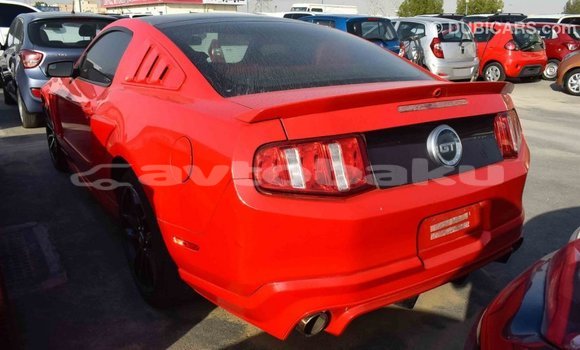 Buy Import Ford Mustang Red Car in Import - Dubai in Abseron Buy Import Ford Mustang Red Car in Import - Dubai in Abseron