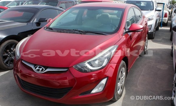 Buy Import Hyundai Elantra Red Car in Import - Dubai in Abseron Buy Import Hyundai Elantra Red Car in Import - Dubai in Abseron