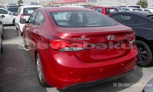 Buy Import Hyundai Elantra Red Car in Import - Dubai in Abseron Buy Import Hyundai Elantra Red Car in Import - Dubai in Abseron