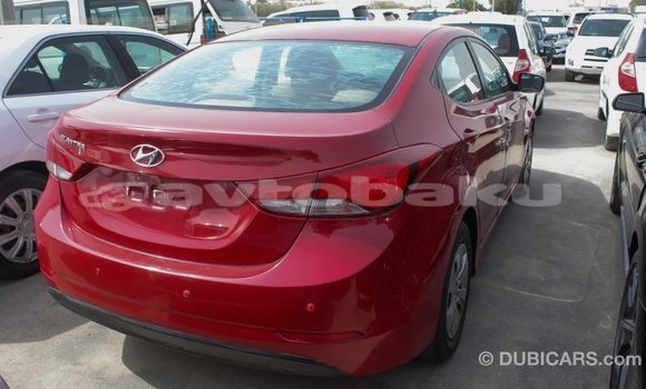Buy Import Hyundai Elantra Red Car in Import - Dubai in Abseron Buy Import Hyundai Elantra Red Car in Import - Dubai in Abseron