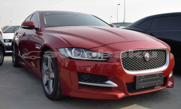 Buy Import Jaguar XE Red Car in Import - Dubai in Abseron