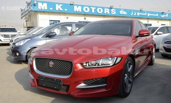 Buy Import Jaguar XE Red Car in Import - Dubai in Abseron Buy Import Jaguar XE Red Car in Import - Dubai in Abseron