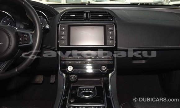 Buy Import Jaguar XE Red Car in Import - Dubai in Abseron Buy Import Jaguar XE Red Car in Import - Dubai in Abseron