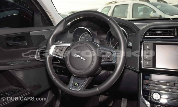 Buy Import Jaguar XE Red Car in Import - Dubai in Abseron Buy Import Jaguar XE Red Car in Import - Dubai in Abseron