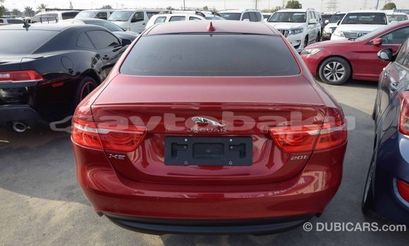 Buy Import Jaguar XE Red Car in Import - Dubai in Abseron Buy Import Jaguar XE Red Car in Import - Dubai in Abseron