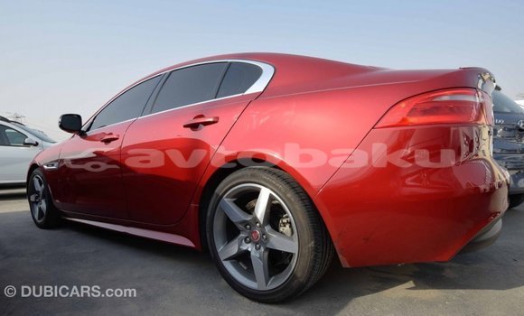 Buy Import Jaguar XE Red Car in Import - Dubai in Abseron Buy Import Jaguar XE Red Car in Import - Dubai in Abseron