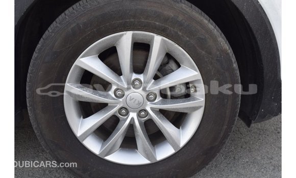 Buy Import Kia Sorento White Car in Import - Dubai in Abseron