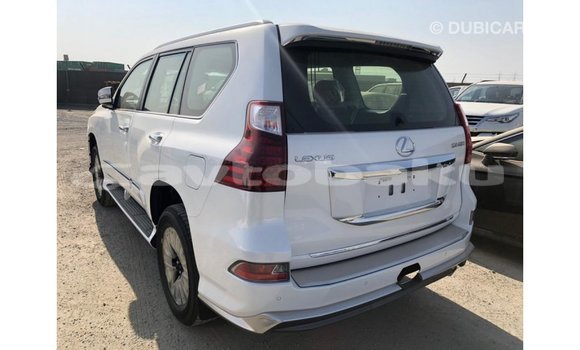 Buy Import Lexus GX White Car in Import - Dubai in Abseron Buy Import Lexus GX White Car in Import - Dubai in Abseron