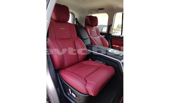 Buy Import Toyota Land Cruiser Black Car in Import - Dubai in Abseron Buy Import Toyota Land Cruiser Black Car in Import - Dubai in Abseron