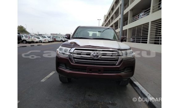 Buy Import Toyota Land Cruiser Brown Car in Import - Dubai in Abseron Buy Import Toyota Land Cruiser Brown Car in Import - Dubai in Abseron