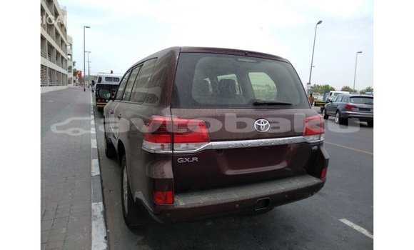 Buy Import Toyota Land Cruiser Brown Car in Import - Dubai in Abseron Buy Import Toyota Land Cruiser Brown Car in Import - Dubai in Abseron