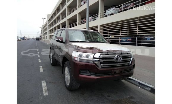 Buy Import Toyota Land Cruiser Brown Car in Import - Dubai in Abseron Buy Import Toyota Land Cruiser Brown Car in Import - Dubai in Abseron