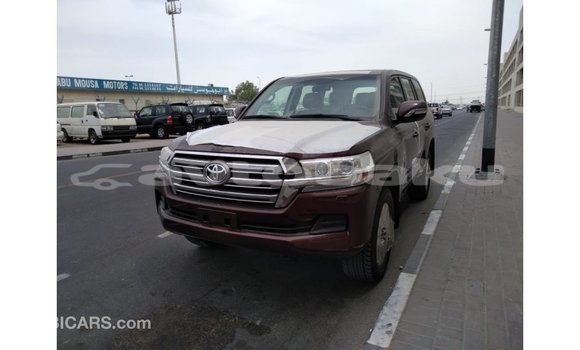 Buy Import Toyota Land Cruiser Brown Car in Import - Dubai in Abseron Buy Import Toyota Land Cruiser Brown Car in Import - Dubai in Abseron