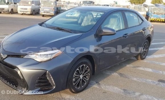 Buy Import Toyota Corolla Other Car in Import - Dubai in Abseron Buy Import Toyota Corolla Other Car in Import - Dubai in Abseron