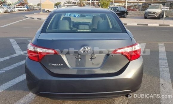 Buy Import Toyota Corolla Other Car in Import - Dubai in Abseron Buy Import Toyota Corolla Other Car in Import - Dubai in Abseron