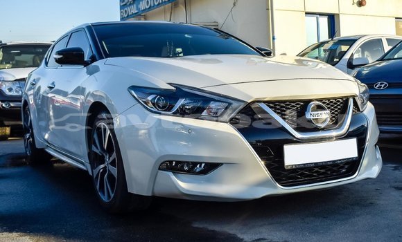 Buy Import Nissan Maxima White Car in Import - Dubai in Abseron Buy Import Nissan Maxima White Car in Import - Dubai in Abseron