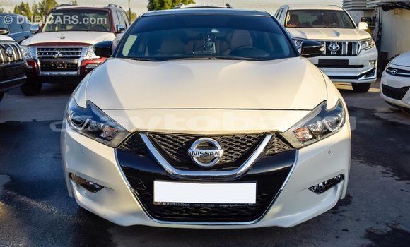 Buy Import Nissan Maxima White Car in Import - Dubai in Abseron Buy Import Nissan Maxima White Car in Import - Dubai in Abseron