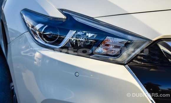 Buy Import Nissan Maxima White Car in Import - Dubai in Abseron Buy Import Nissan Maxima White Car in Import - Dubai in Abseron