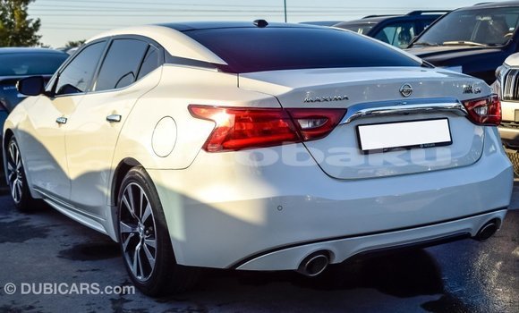 Buy Import Nissan Maxima White Car in Import - Dubai in Abseron Buy Import Nissan Maxima White Car in Import - Dubai in Abseron