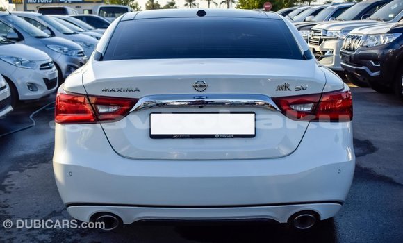 Buy Import Nissan Maxima White Car in Import - Dubai in Abseron Buy Import Nissan Maxima White Car in Import - Dubai in Abseron