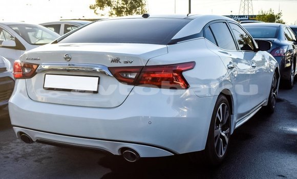 Buy Import Nissan Maxima White Car in Import - Dubai in Abseron Buy Import Nissan Maxima White Car in Import - Dubai in Abseron