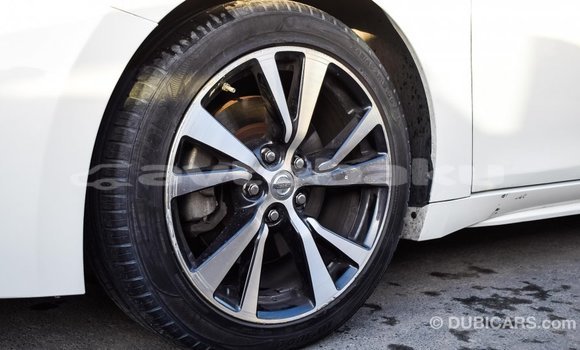 Buy Import Nissan Maxima White Car in Import - Dubai in Abseron Buy Import Nissan Maxima White Car in Import - Dubai in Abseron