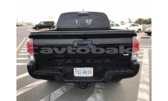 Buy Import Toyota Tacoma Black Car in Import - Dubai in Abseron Buy Import Toyota Tacoma Black Car in Import - Dubai in Abseron