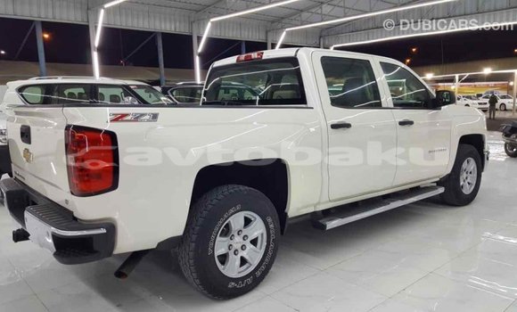 Buy Import Chevrolet Silverado White Car in Import - Dubai in Abseron