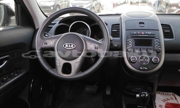 Buy Import Kia Soul Black Car in Import - Dubai in Abseron Buy Import Kia Soul Black Car in Import - Dubai in Abseron