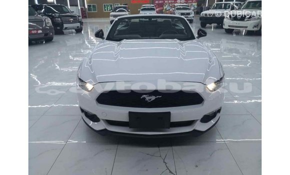 Buy Import Ford Mustang White Car in Import - Dubai in Abseron Buy Import Ford Mustang White Car in Import - Dubai in Abseron