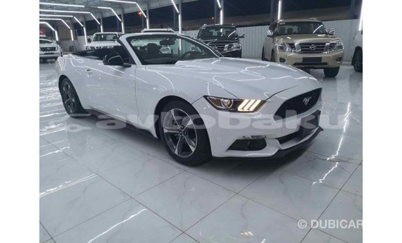 Buy Import Ford Mustang White Car in Import - Dubai in Abseron Buy Import Ford Mustang White Car in Import - Dubai in Abseron