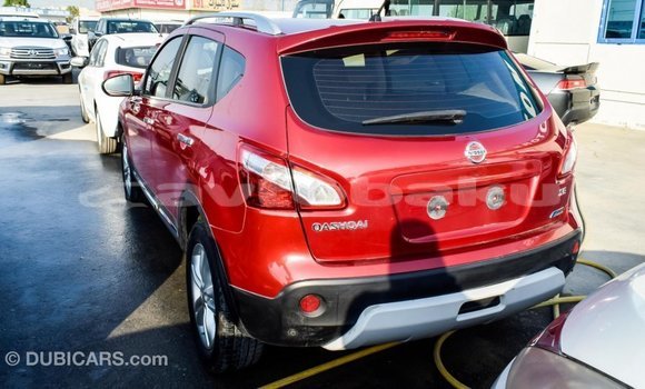 Buy Import Nissan Qashqai Red Car in Import - Dubai in Abseron Buy Import Nissan Qashqai Red Car in Import - Dubai in Abseron