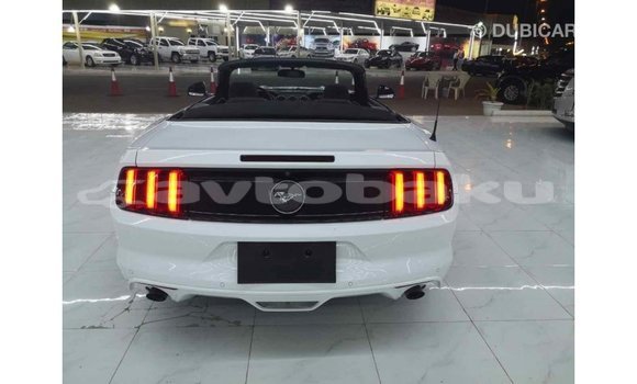 Buy Import Ford Mustang White Car in Import - Dubai in Abseron Buy Import Ford Mustang White Car in Import - Dubai in Abseron