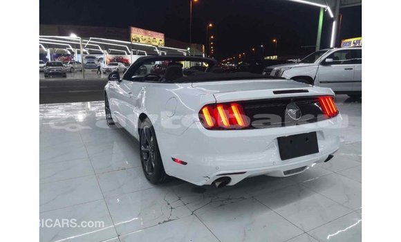 Buy Import Ford Mustang White Car in Import - Dubai in Abseron Buy Import Ford Mustang White Car in Import - Dubai in Abseron