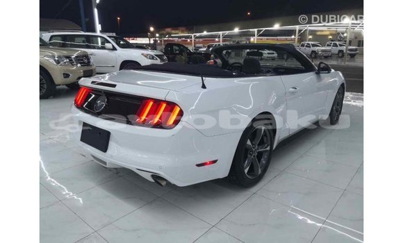 Buy Import Ford Mustang White Car in Import - Dubai in Abseron Buy Import Ford Mustang White Car in Import - Dubai in Abseron
