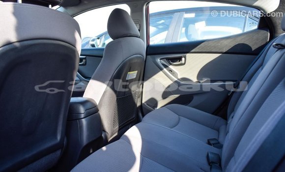 Buy Import Hyundai Elantra Red Car in Import - Dubai in Abseron Buy Import Hyundai Elantra Red Car in Import - Dubai in Abseron