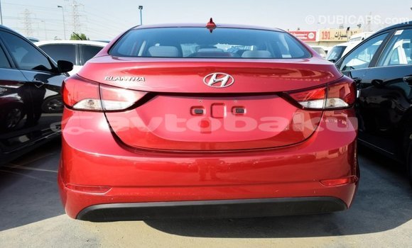 Buy Import Hyundai Elantra Red Car in Import - Dubai in Abseron Buy Import Hyundai Elantra Red Car in Import - Dubai in Abseron