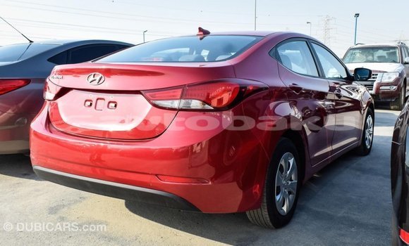 Buy Import Hyundai Elantra Red Car in Import - Dubai in Abseron Buy Import Hyundai Elantra Red Car in Import - Dubai in Abseron