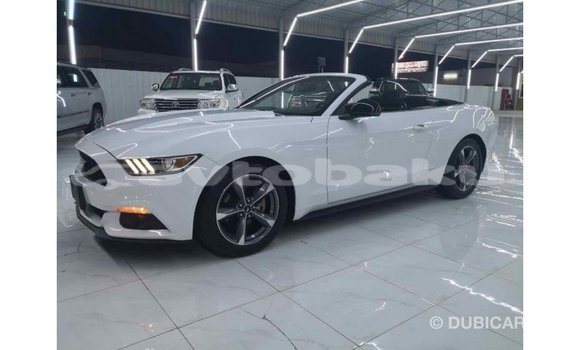Buy Import Ford Mustang White Car in Import - Dubai in Abseron Buy Import Ford Mustang White Car in Import - Dubai in Abseron