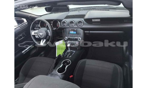 Buy Import Ford Mustang White Car in Import - Dubai in Abseron Buy Import Ford Mustang White Car in Import - Dubai in Abseron