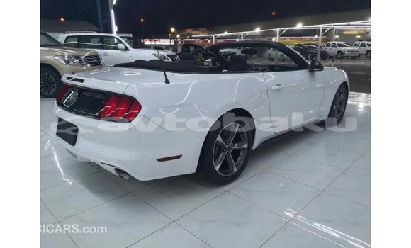 Buy Import Ford Mustang White Car in Import - Dubai in Abseron