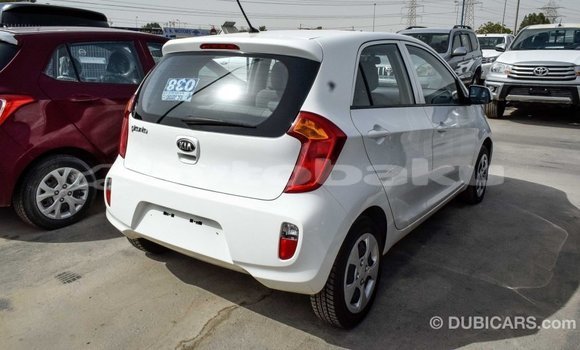 Buy Import Kia Picanto White Car in Import - Dubai in Abseron Buy Import Kia Picanto White Car in Import - Dubai in Abseron