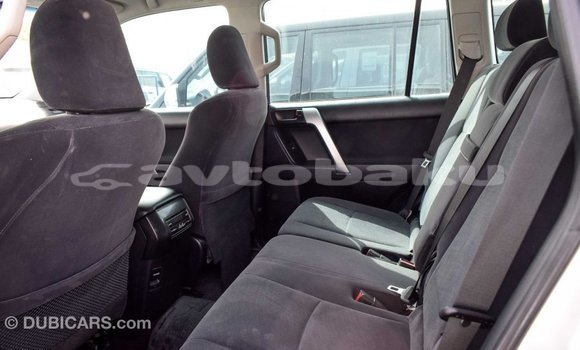 Buy Import Toyota Prado Other Car in Import - Dubai in Abseron Buy Import Toyota Prado Other Car in Import - Dubai in Abseron