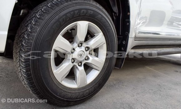 Buy Import Toyota Prado Other Car in Import - Dubai in Abseron Buy Import Toyota Prado Other Car in Import - Dubai in Abseron